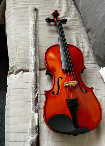 Violin with bow - with,